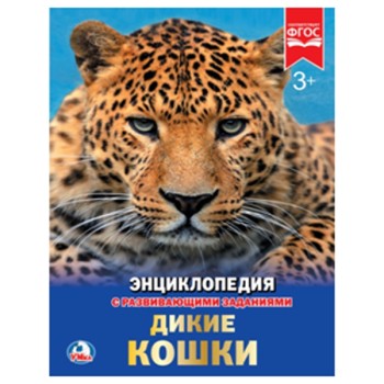 Умка. Книга "Энциклопедия Дикие кошки" А4 твердый переплет