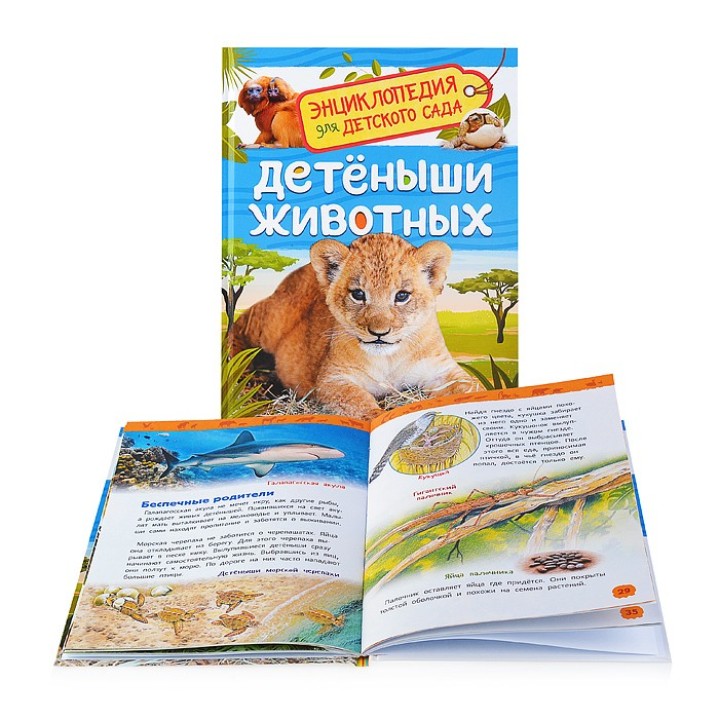 Росмэн. Энциклопедия для детского сада "Детеныши животных" арт.37044