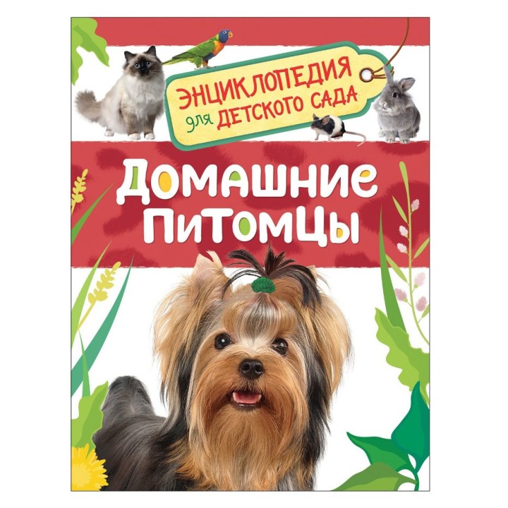 Росмэн. Энциклопедия для детского сада "Домашние питомцы" арт.32823
