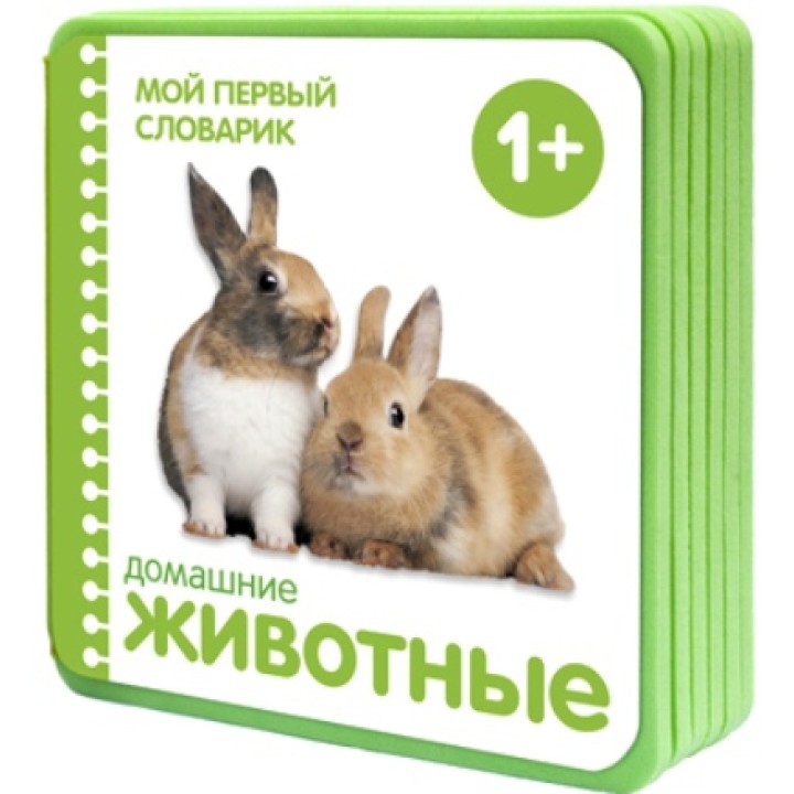 М-С. Мой первый словарик "Домашние животные" /40