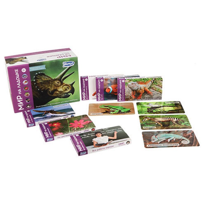 Мир на ладошке "6 в 1 выпуск 5" арт.2033 (Золотой выпуск) (Умница)