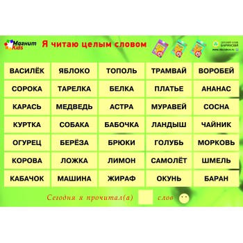 Технологии Буракова. Магнитные игры. Я читаю целым словом.