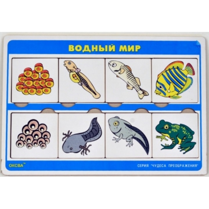 Чудеса преображений "Водный мир" арт.00770 (Оксва)