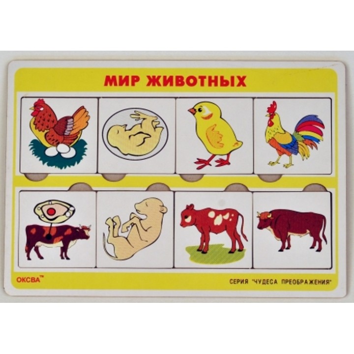 Чудеса преображений "Мир Животных" арт.00773 (Оксва)