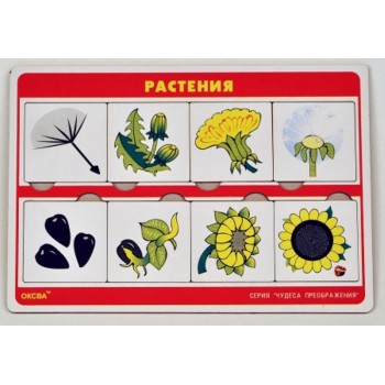 Чудеса преображений "Растения" арт.00772 (Оксва)