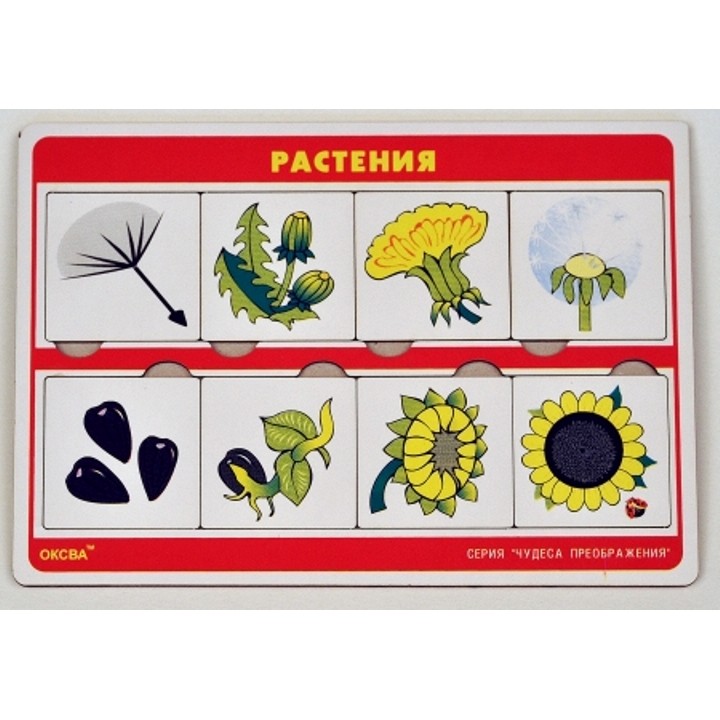 Чудеса преображений "Растения" арт.00772 (Оксва)