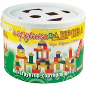 МДИ Д069 Конструктор-сортировщик 50 дет. (дерево)/18
