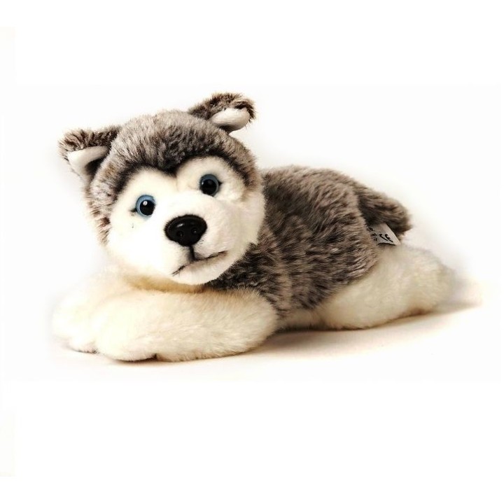 Leosco. Мягкая игрушка "Хаски" леж 23см арт.C21544