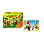 Рыжий кот (настольные игры, гравюры)